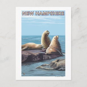 New HampshireSea Lions Scene Postcard