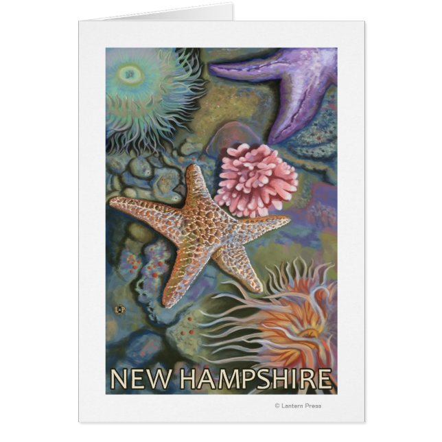 New HampshireTidepool Scene (Front)