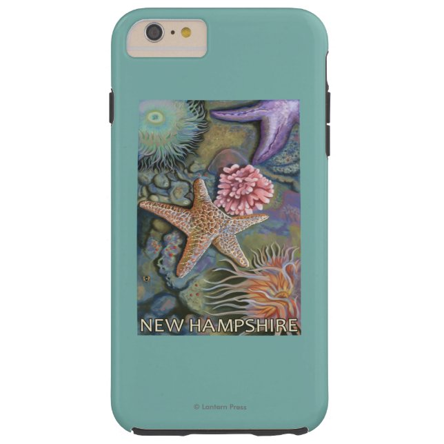 New HampshireTidepool Scene Case-Mate iPhone Case (Back)