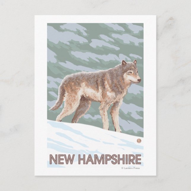 New HampshireWolf Scene Postcard (Front)