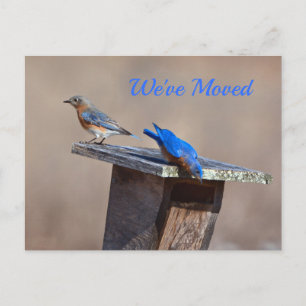 New Home Announcement