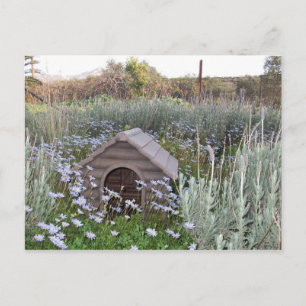 New Home Announcement Postcard