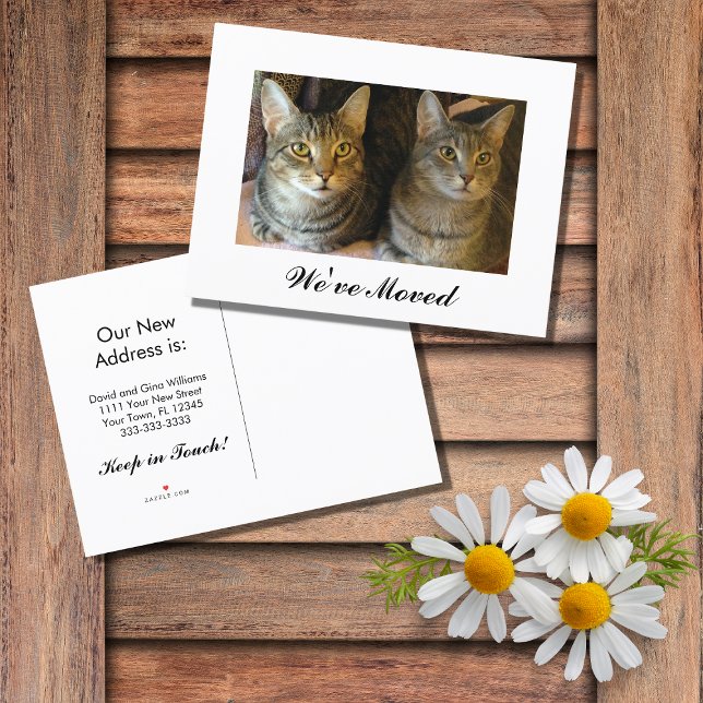 New Home Cats Moving Announcement Postcard (Creator Uploaded)
