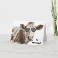 New Home Hereford Cow With Sunglasses