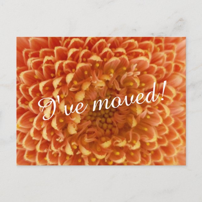 New home moving postcards | close up flower photo (Front)