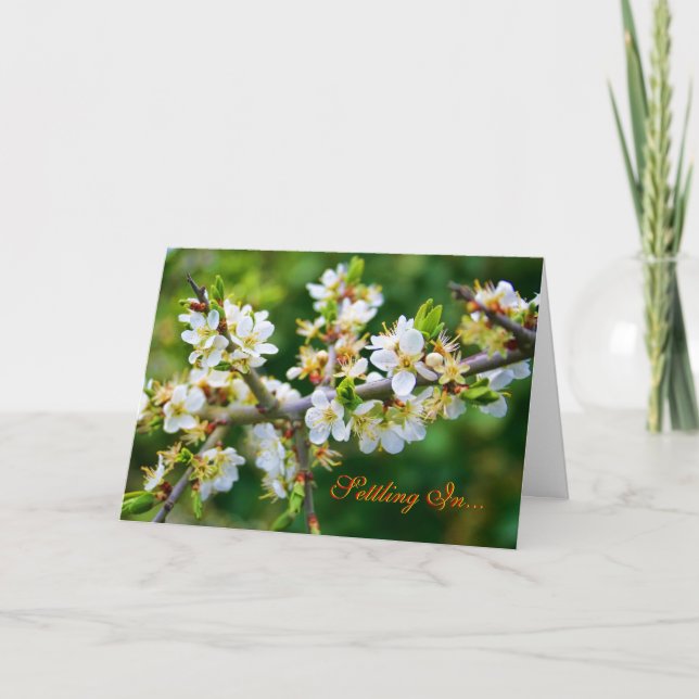 New Home - Sun-Dappled Spring Hawthorn Announcement (Front)