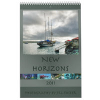 New Horizons 2011