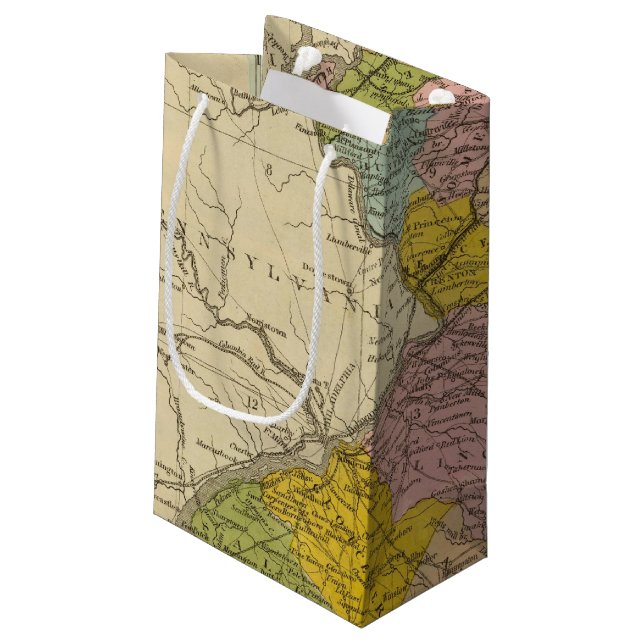 New Jersey 5 2 Small Gift Bag (Back Angled)