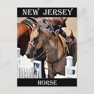 New Jersey Horse Postcard