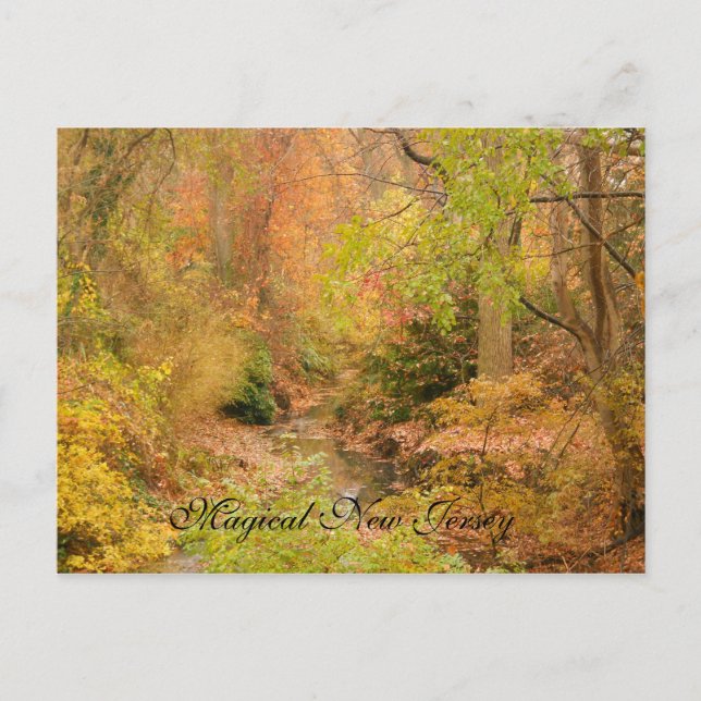 New Jersey in the Fall Postcard (Front)