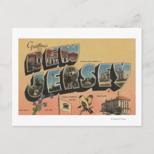 New Jersey (State Capital/Flower/Bird) Postcard
