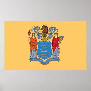 New Jersey state flag Poster