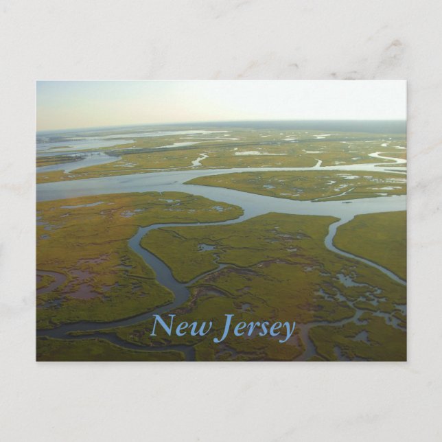 New Jersey Wetlands Postcard (Front)