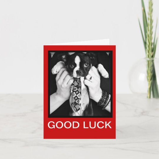new job greeting card zazzlecouk