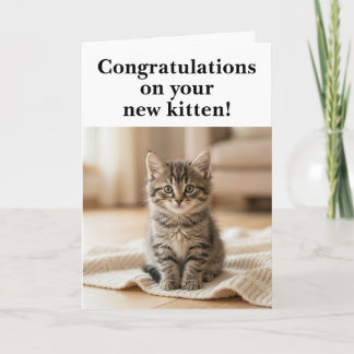 New Kitten Congratulations Sweet Sentimental Card