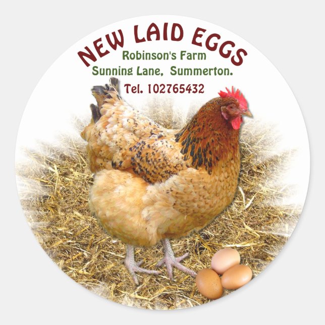 NEW LAID EGGS CLASSIC ROUND STICKER (Front)