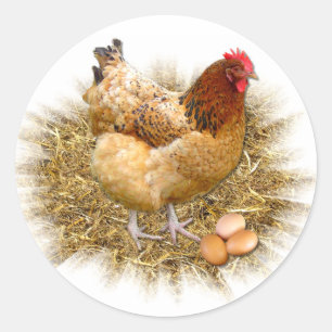 NEW LAID EGGS ~ Envelope Sealers/Stickers Classic Round Sticker