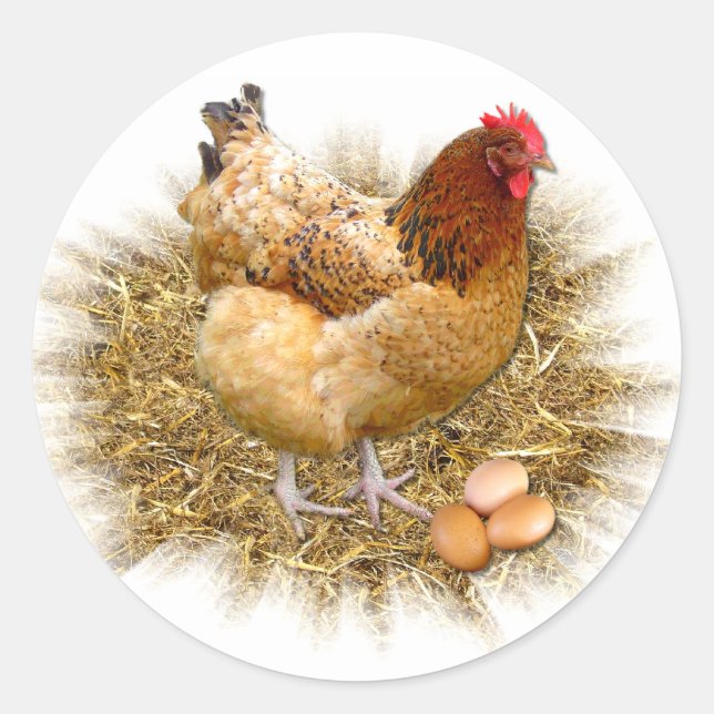 NEW LAID EGGS ~ Envelope Sealers/Stickers Classic Round Sticker (Front)