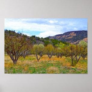 New Mexico Apple Orchard in Bloom Poster