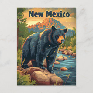 New Mexico Black Bear Postcard