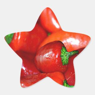 New Mexico Chilli Peppers (Chile) Star Sticker