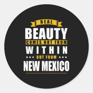 New Mexico - Funny D City Gift Classic Round Sticker