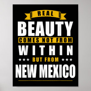 New Mexico - Funny D City Gift Poster