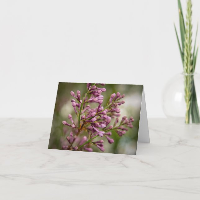 New Mexico Garden Thank You Card (Front)