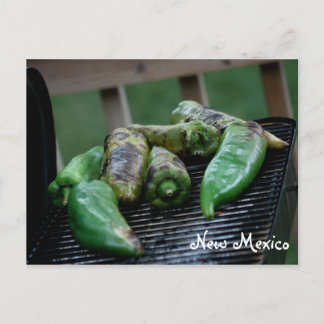New Mexico Green Chilli Postcard