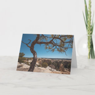 New Mexico Landscape Photo Card