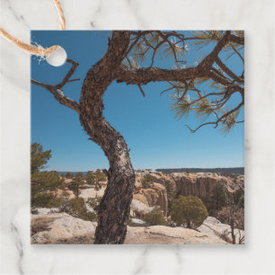 New Mexico Landscape Photo Favour Tags