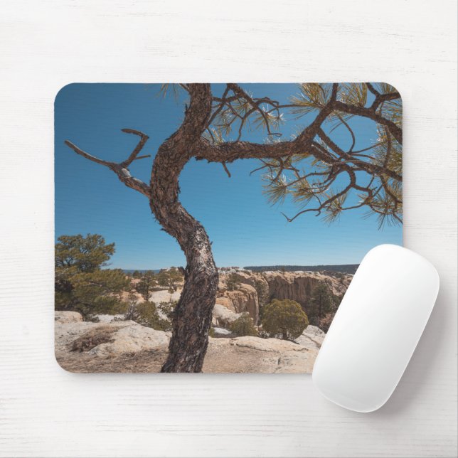 New Mexico Landscape Photo Mouse Mat (With Mouse)