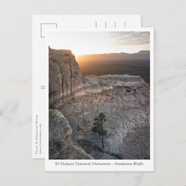 New Mexico Landscape Photo Postcard (Front/Back)