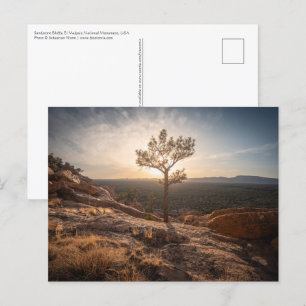 New Mexico Landscape Photo Postcard