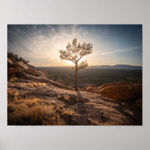 New Mexico Landscape Photo Poster