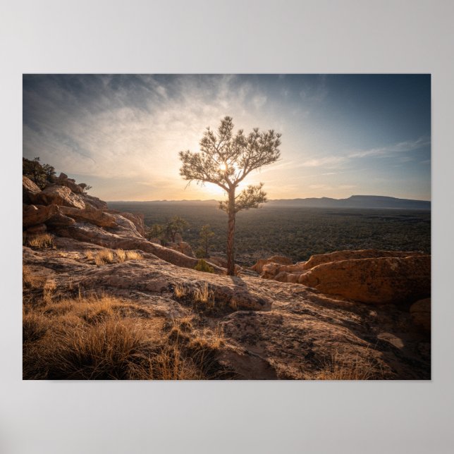 New Mexico Landscape Photo Poster (Front)