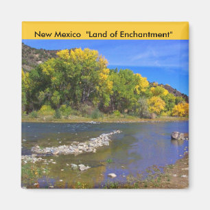New Mexico magnet