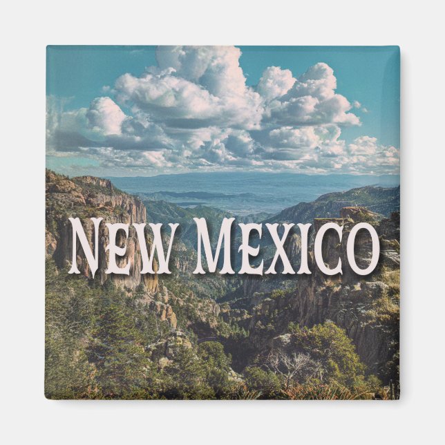 New Mexico Magnet (Front)