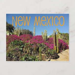New Mexico Postcard