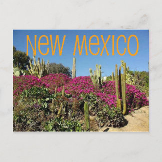 New Mexico Postcard