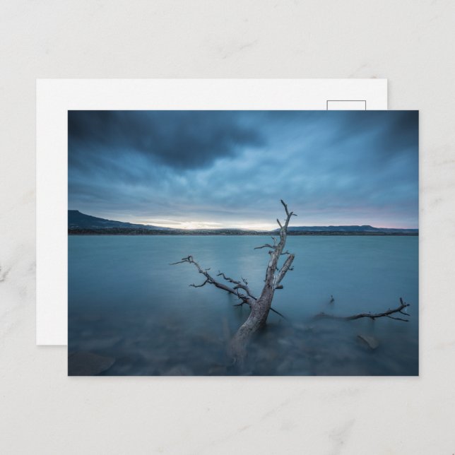 New Mexico Postcard (Front/Back)