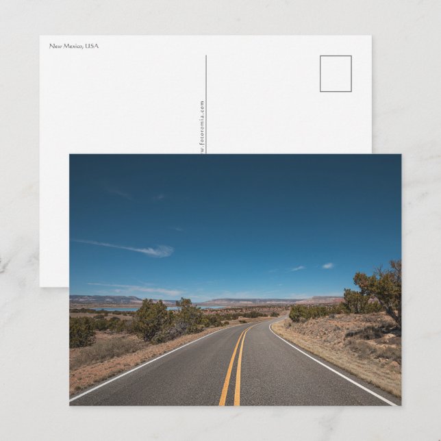New Mexico Postcard (Front/Back)