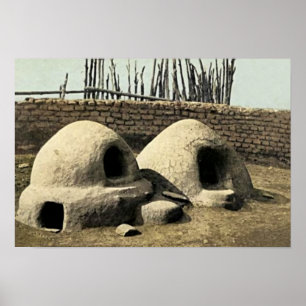 New Mexico Poster