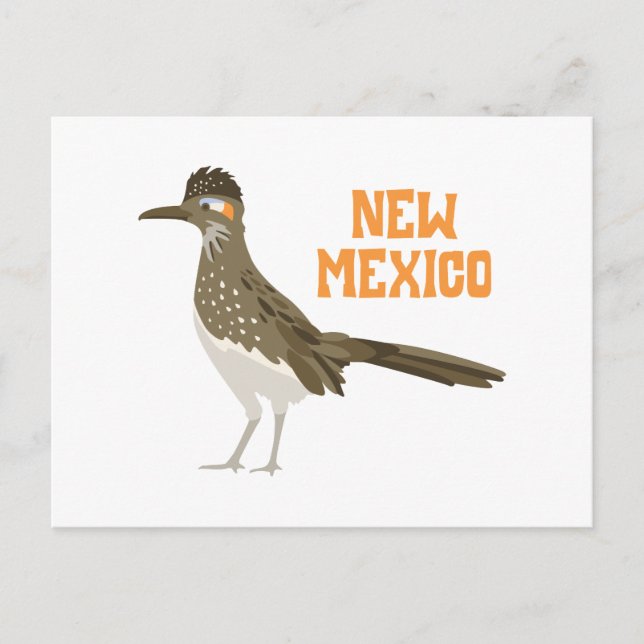 New Mexico Roadrunner Postcard (Front)