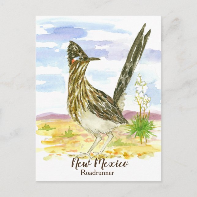 New Mexico State Bird Roadrunner Yucca Postcard (Front)