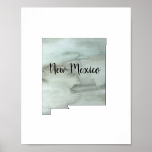 New Mexico State Illustration Poster