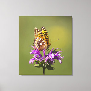 new mexico, united states of america canvas print
