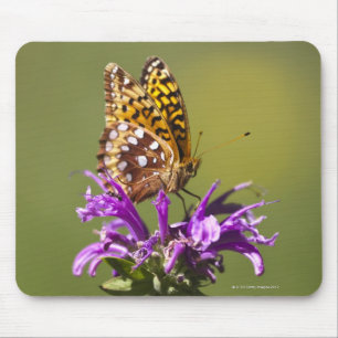 new mexico, united states of america mouse mat