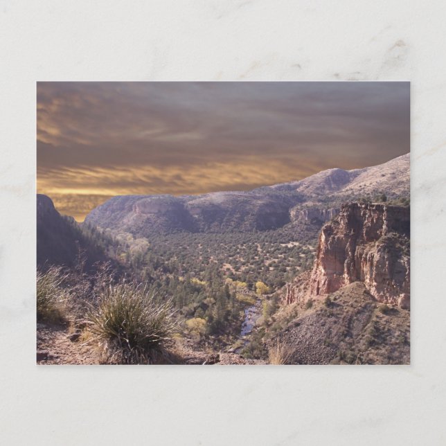 New Mexico Wilderness Postcard (Front)