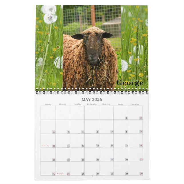 New Moon Farm Goat Rescue & Sanctuary 2016 Calendar (May 2026)
